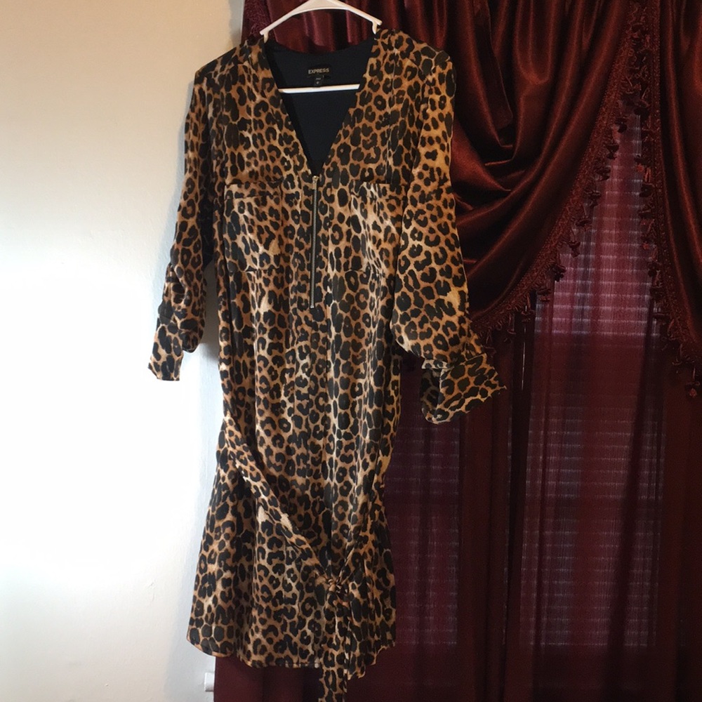 Express dress